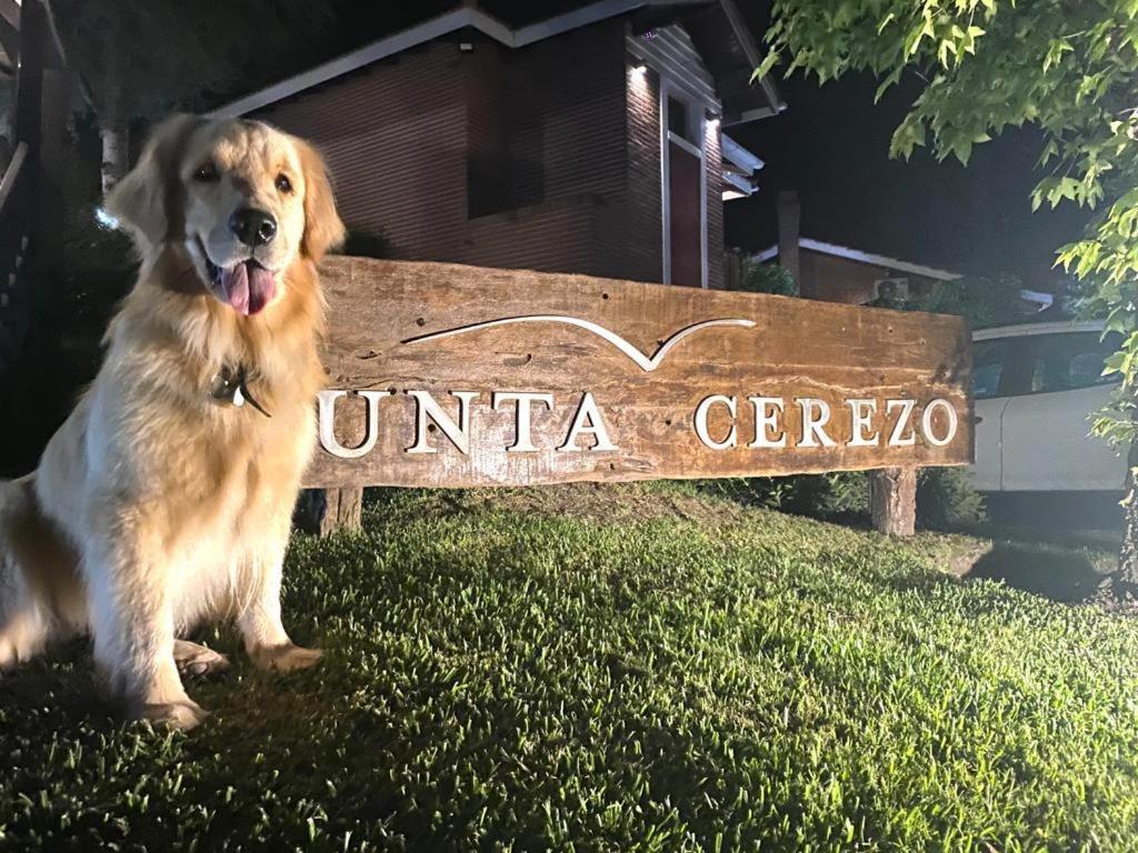 Punta Cerezo Apart 까릴로 외부 사진