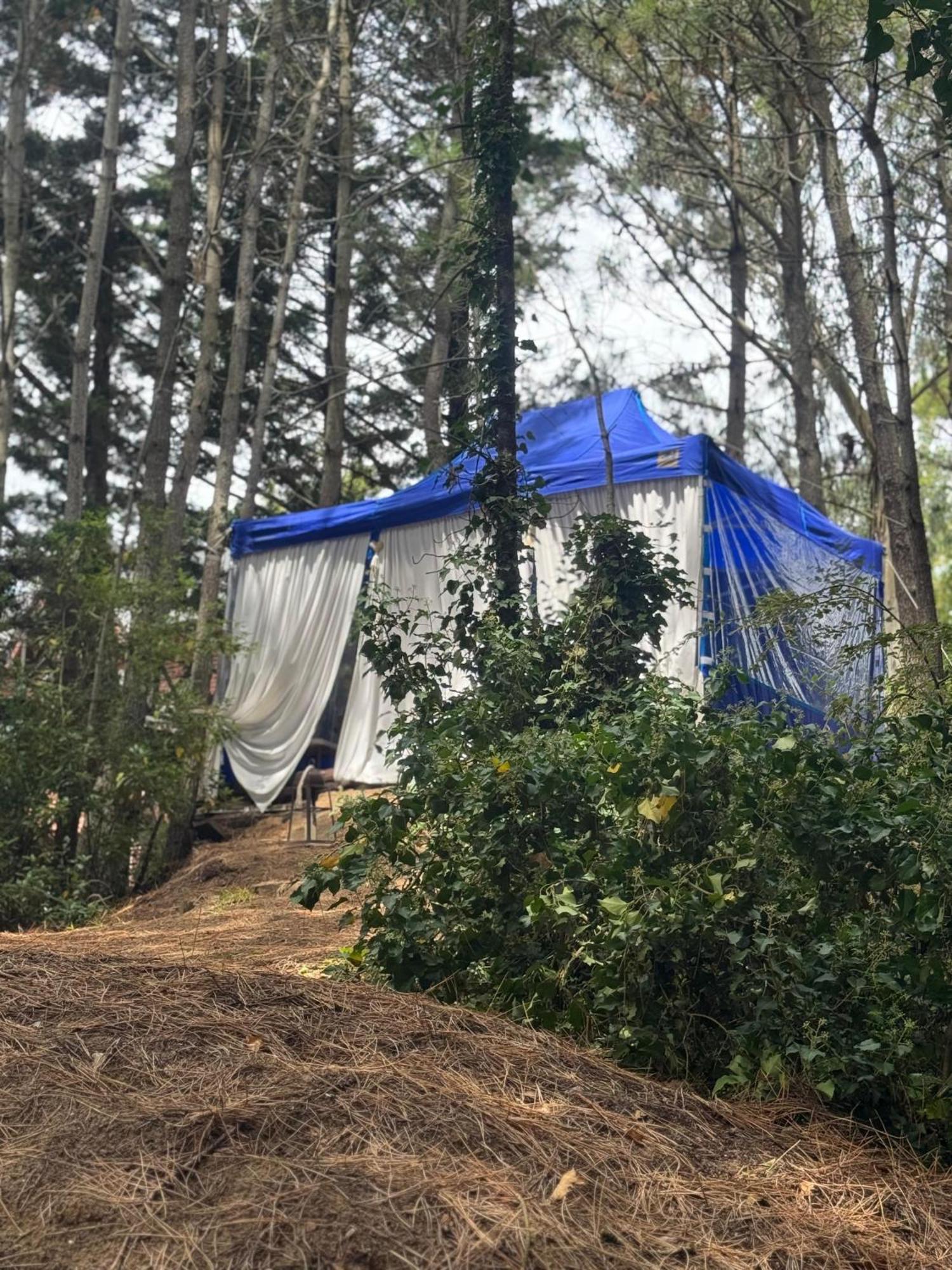 Punta Cerezo Apart 까릴로 외부 사진